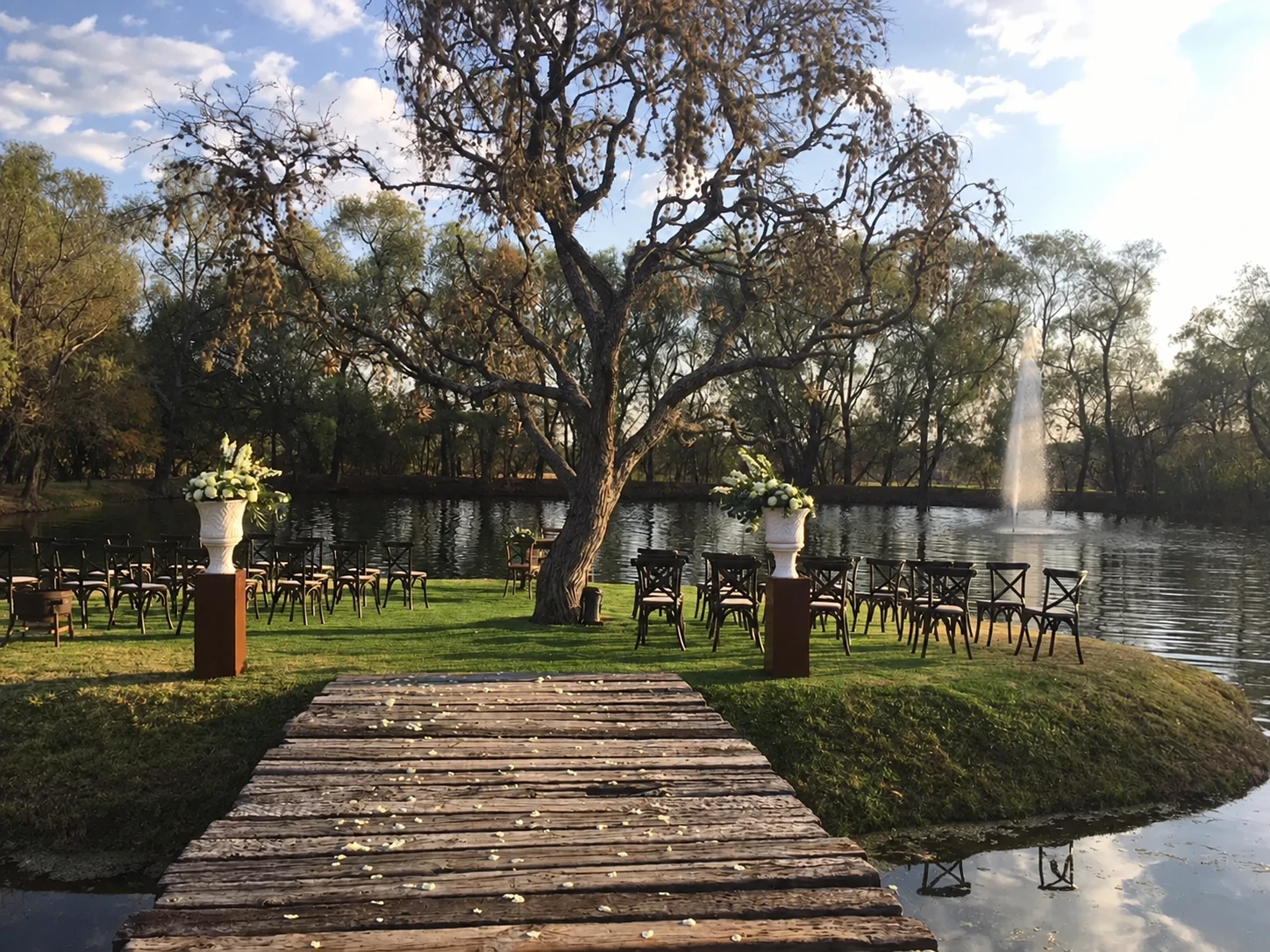 Fotografía del lago con un puente de madera, un árbol central y la fuente al fondo.